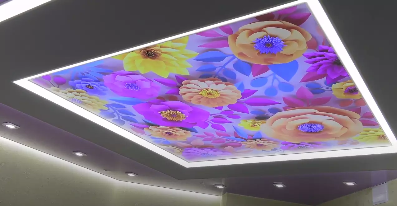 Белгород, улица Щорса, 39а, фото 1